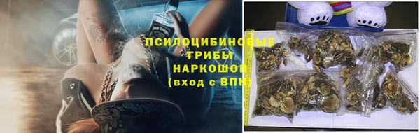 стафф Алексеевка