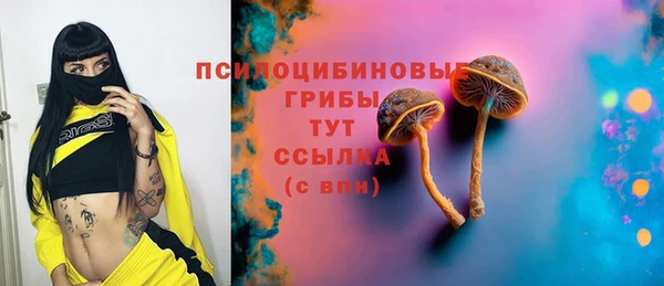 стафф Алексеевка