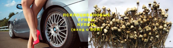 стафф Алексеевка