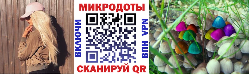 KRAKEN маркетплейс  Слободской  Галлюциногенные грибы MAGIC MUSHROOMS  продажа наркотиков 